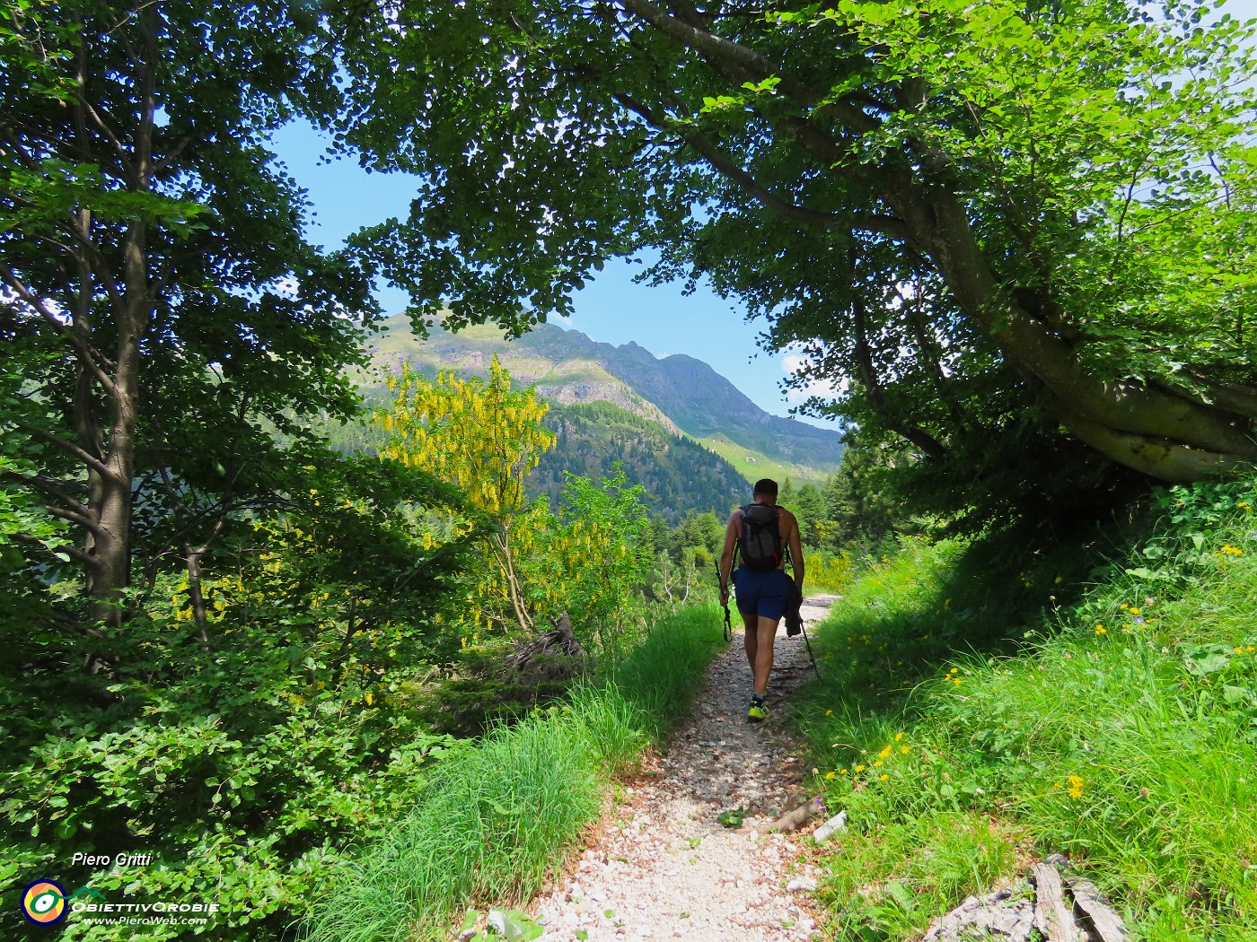 65 Scendiamo entrando all'ombra del bosco.JPG